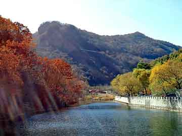 新澳天天开奖资料大全旅游团，普桑油耗